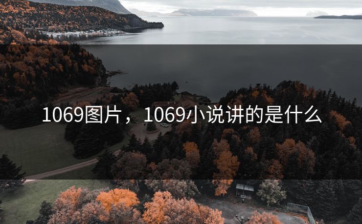 1069图片,1069小说讲的是什么